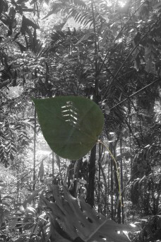 Monica Ursina Jäger. Courtesy of Museum Franz Gertsch