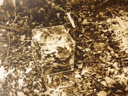 Jose Manuel Fors. Courtesy of Pan American Art Projects