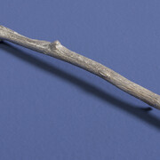 Amalia Pica. Courtesy of IMA