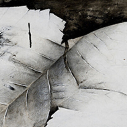 Undersoul. Courtesy of San Jose Museum of Art