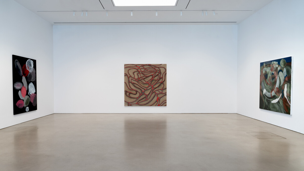 Ross Bleckner, Octopus, exhibition view. Courtesy of Petzel Gallery