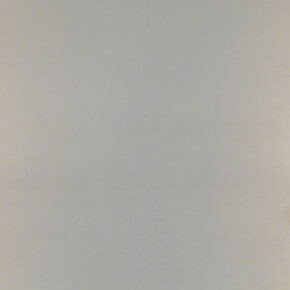 Judy Fox. Courtesy of Nancy Hoffman Gallery