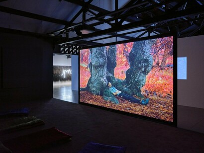 Saodat Ismailova, Amanat, the sacred forest, exhibition view. Courtesy of LUMA Arles