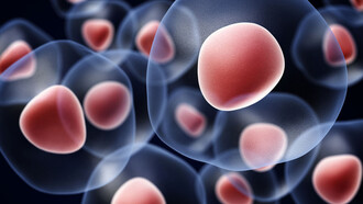 The life of cells