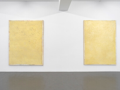 A Tribute to Lawrence Carroll. Courtesy of Buchmann Galerie