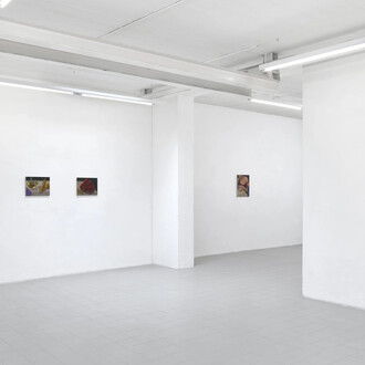 Natalia González Martín, Fruta y media tarde, exhibition view. Courtesy of Galerie Sébastien Bertrand