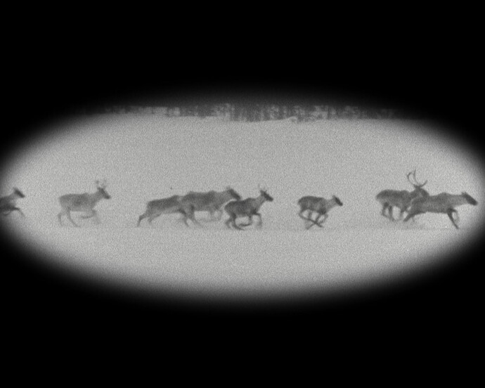 Kushapetshekan / Kosapitcikan. Courtesy of Montreal Museum of Fine Arts