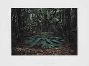 Richard Long. Courtesy of Lisson Gallery