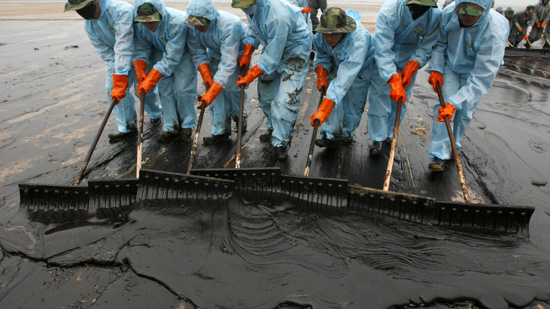 Voluntarios trabajando en la costa gallega tras la catástrofe del Prestige