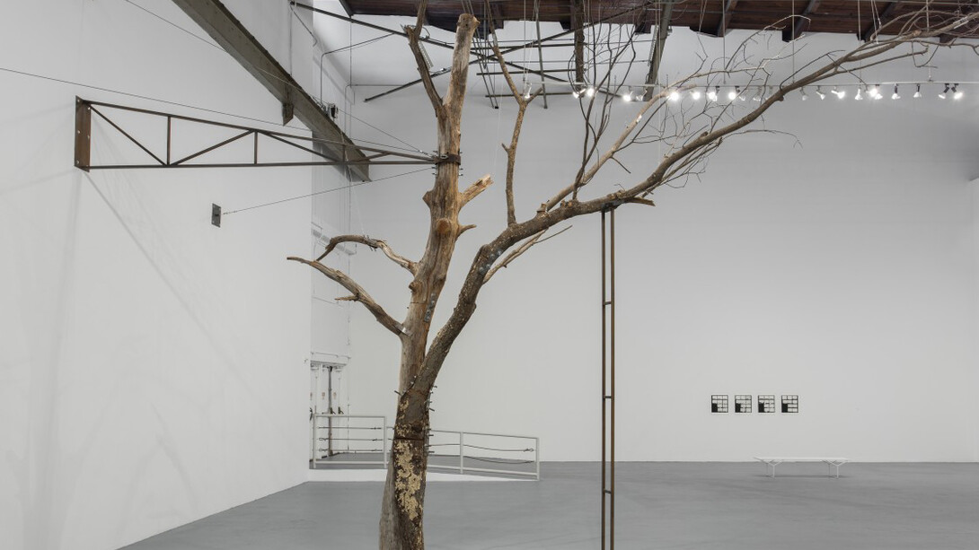 Zoe Leonard. Courtesy of MOCA Geffen