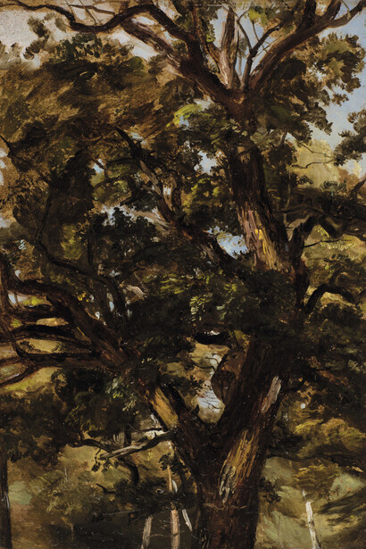 Fragment Natur. Courtesy of Galerie Knoell