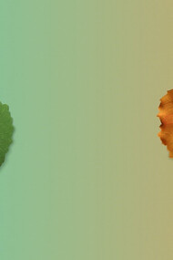 With the passage of time, seasons change, transforming the world with their ever-shifting beauty