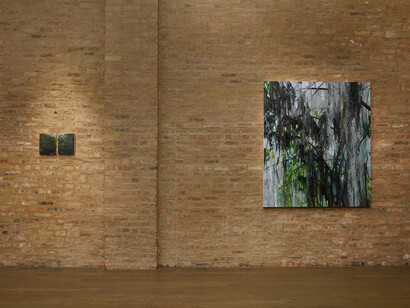 Claire Sherman, Tannic waters, exhibition view. Courtesy of Patron