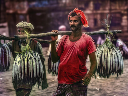 Yemen – Mercato del pesce di Hodeida, foto Sergio Pessolano
