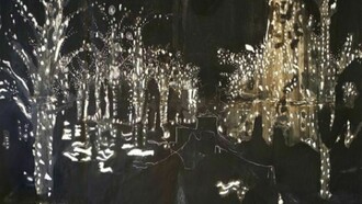 Nebojša Despotović, topologia discreta, 2011, tecnica mista su carta, 200x282 cm