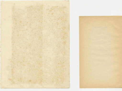 Abigail Reynolds, Lost Libraries. Courtesy of Rokeby Gallery