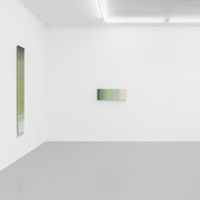 Fernanda Fragateiro, She always starts by planting a tree, exhibition view. Courtesy of Irène Laub