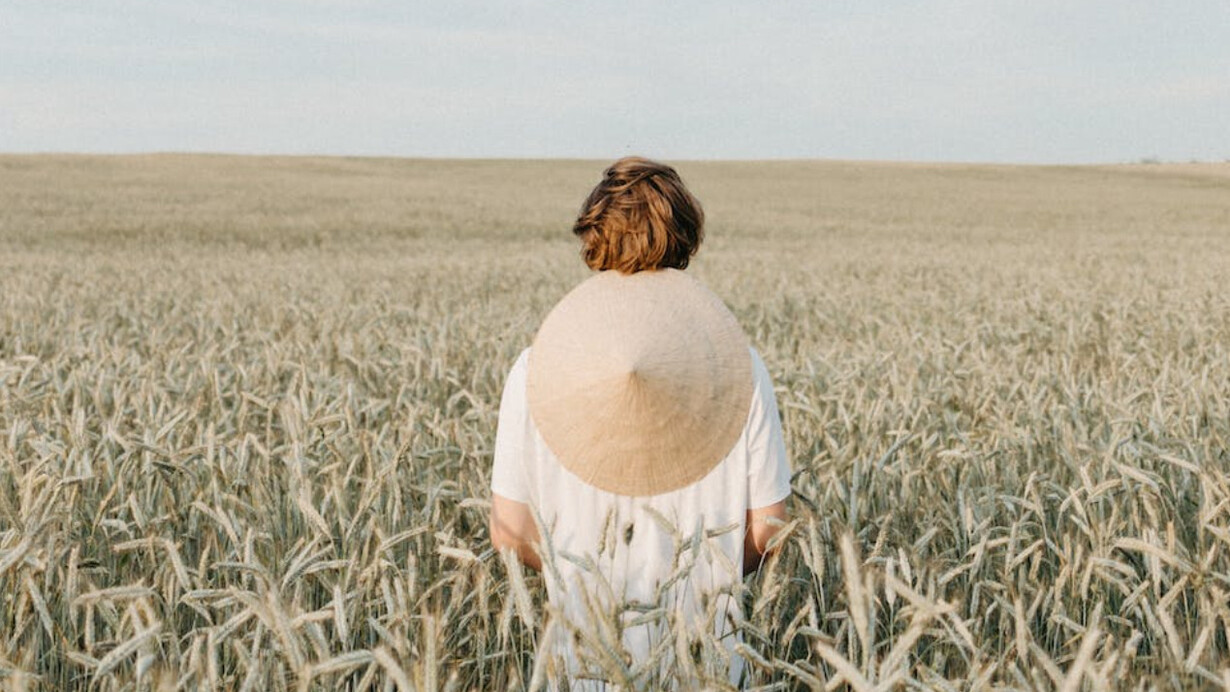 Una persona sola in una distesa enorme di grano 