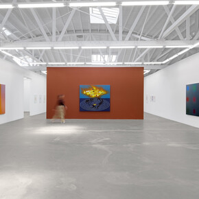 Nicolas Grenier, Flags, exhibition view. Courtesy of Luis De Jesus Los Angeles