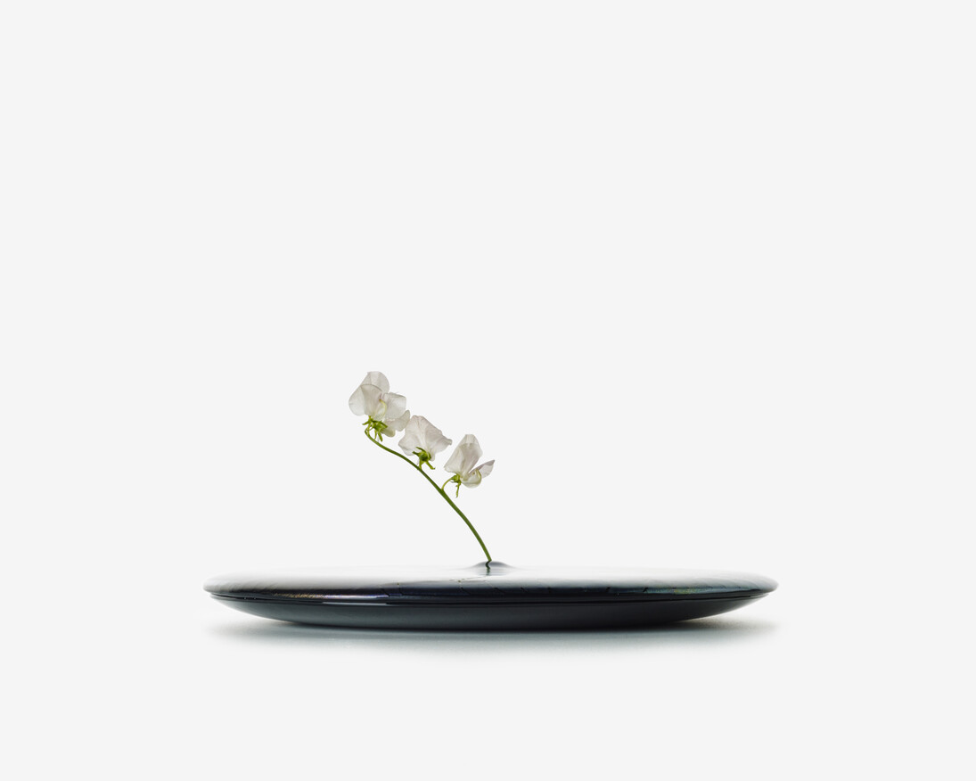 Studio Wieki Somers, Narcissus from series Still Wa…thijs Labadie