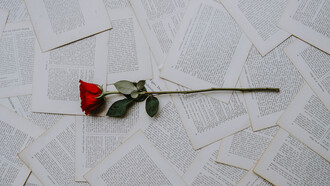 La felicidad está en las reminiscencias