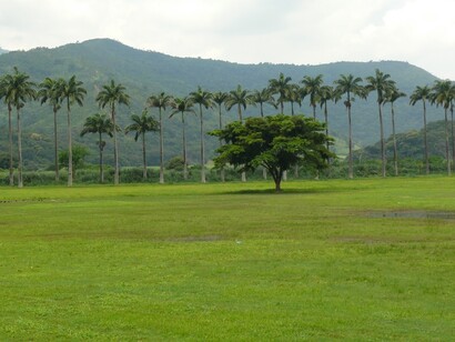 Venezuela, Hacienda Santa Teresa