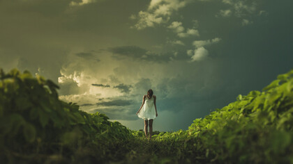 The catcher in the rye talks about the proverbial cliff from which children fall and lose their innocent purity