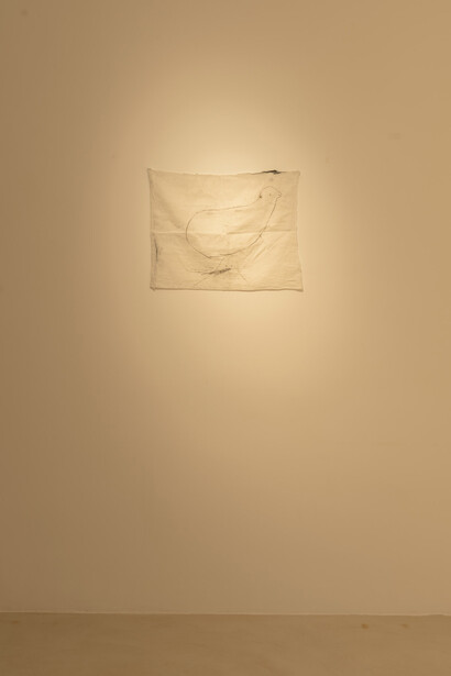 Various artistas, À Gisèle, exhibition view. Courtesy of Travesía Cuatro