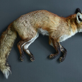 Still Life. Courtesy of Galerie Rüdiger Schöttle