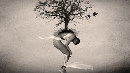 L'albero che è dentro di noi