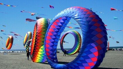 Longbeach WA Kite Festival