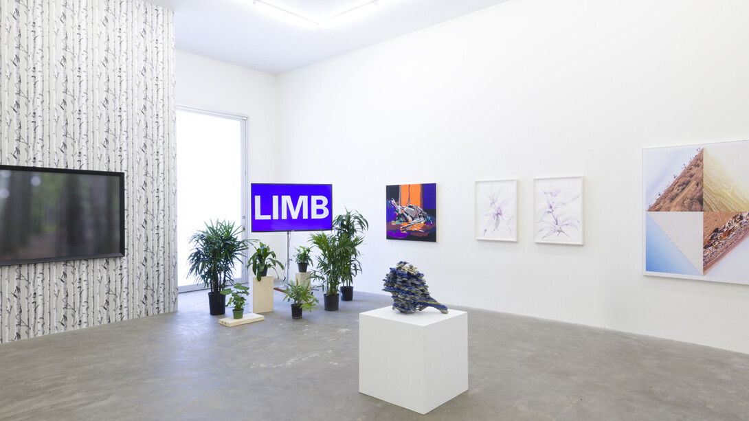 As You Like It. Courtesy of Praz-Delavallade