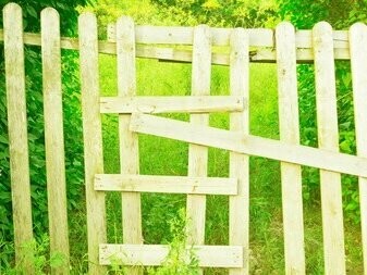 Un vecchio cancello di legno rustico in un giardino: "Il paradigma dominante tende a divenire così un freno al cambiamento"