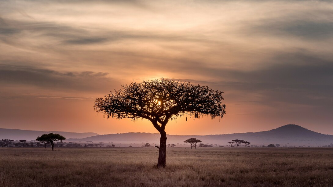 Serengeti, Tanzania