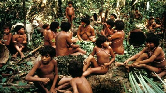 A group of Yanomami, in the jungle