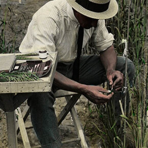 The Canadian Agricultural Hall of Fame Display. Courtesy of Ingenium