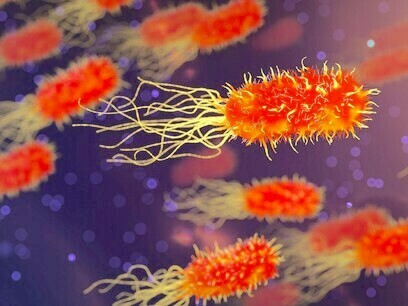      As bactérias em nosso intestino contêm muito mais genes codificadores de proteínas (milhões) do que as células humanas