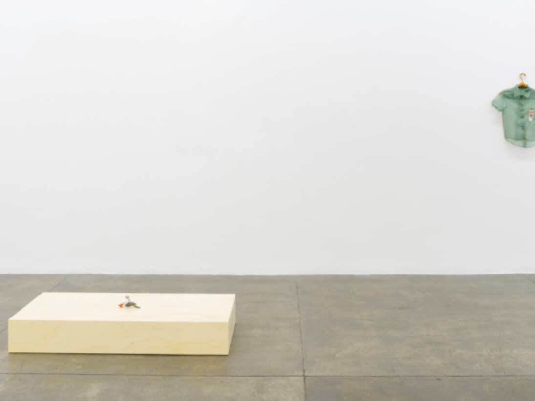 Instances of Seeing, Exhibition view. Courtesy of Fortes D’Aloia & Gabriel