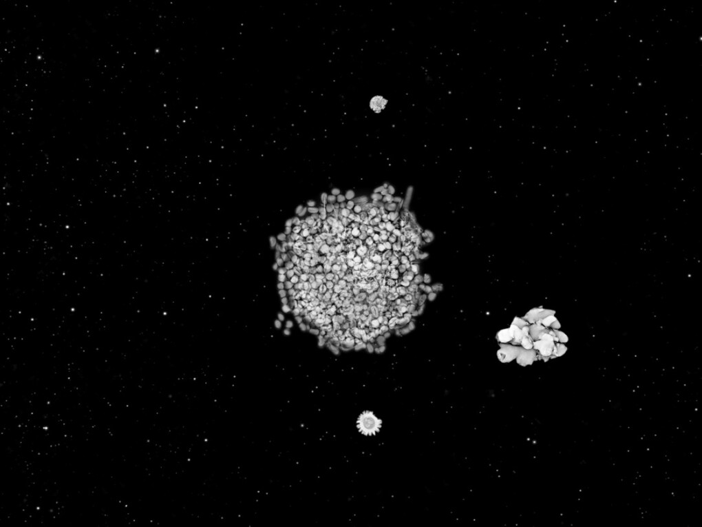 Jitish Kallat, Forensic Trail of the Grand Banquet, 2009, single channel video, Projection or screen, variable dimensions, ed 5 + 1AP, Courtesy Galerie Daniel Templon, Paris. © Jitish Kallat