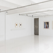 Xènia Fuentes, La piel y el oro (The skin and the gold), exhibition view. Courtesy of Alzueta Gallery