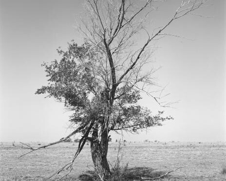 Nature, Culture. Courtesy of Amon Carter Museum of American Art