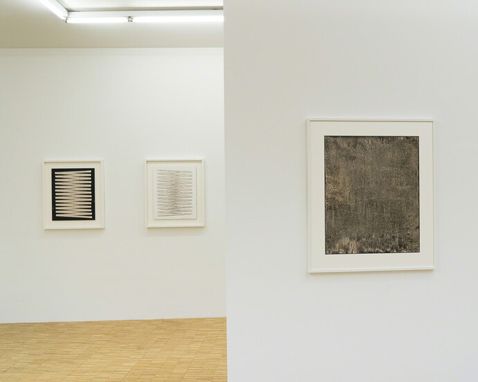 The chemigram. Courtesy of Galerie Anna Wenger