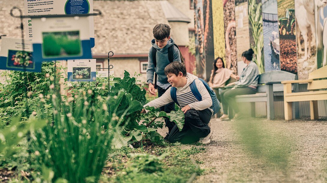 Discovery park, exhibition view. Courtesy of Ingenium. The Canada Agriculture and Food Museum