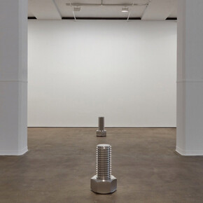 Iran do Espírito Santo, Exhibition view. Courtesy of Sean Kelly