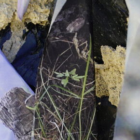 Lauren Kasmer. Courtesy of George Billis Gallery