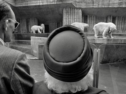 Harry Gruyaert, Roots. © Harry Gruyaert / Courtesy Gallery Fifty One