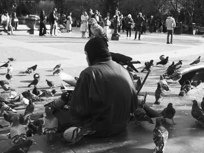 Crowds gather for performers and music, but one man’s silent communion with birds tells another story of the square