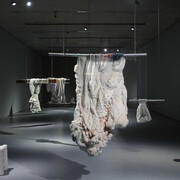 Sigalit Landau. Courtesy of Museum der Moderne