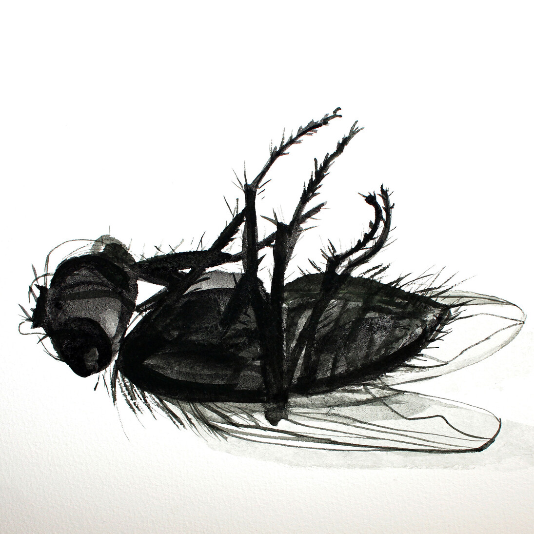 Paula Pohli, Unforgettable Fly tempera