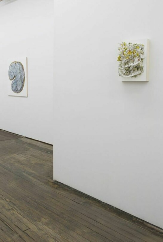Installation views: Natasha Bowdoin, Glyph, January 12 - March 9, 2014, at Monya Rowe Gallery